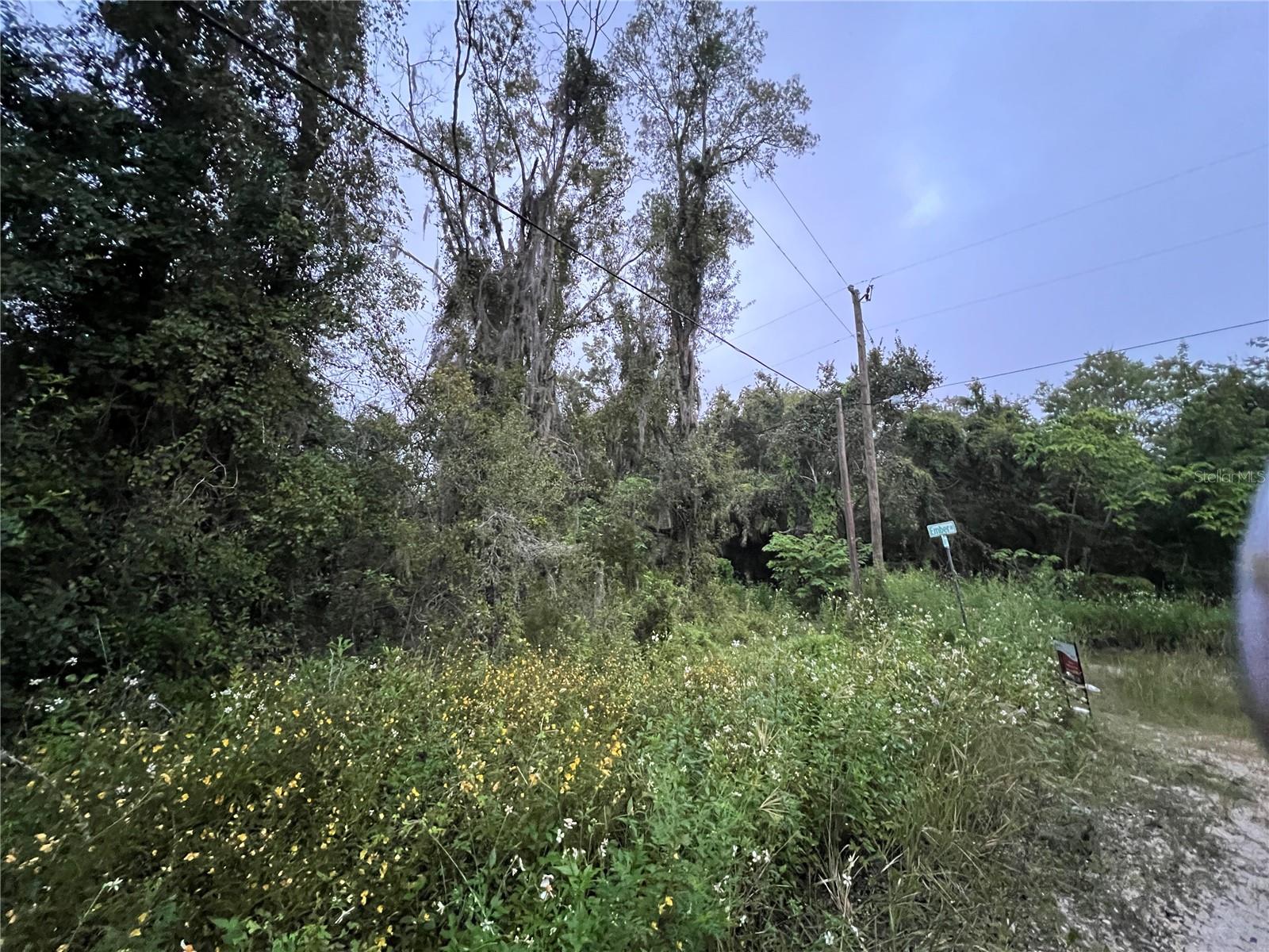 MOON LAKE ESTATES - Land