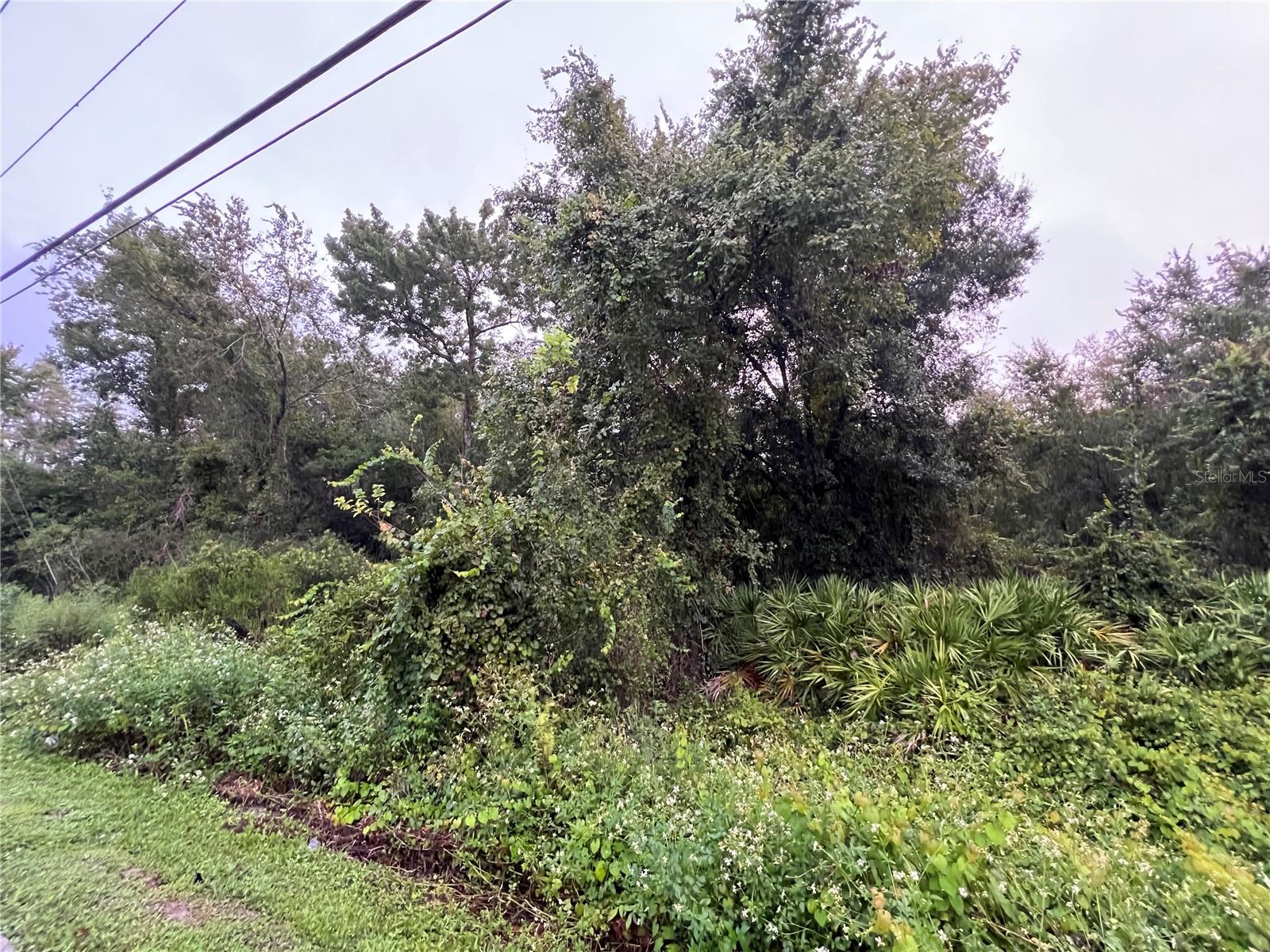 MOON LAKE ESTATES - Land