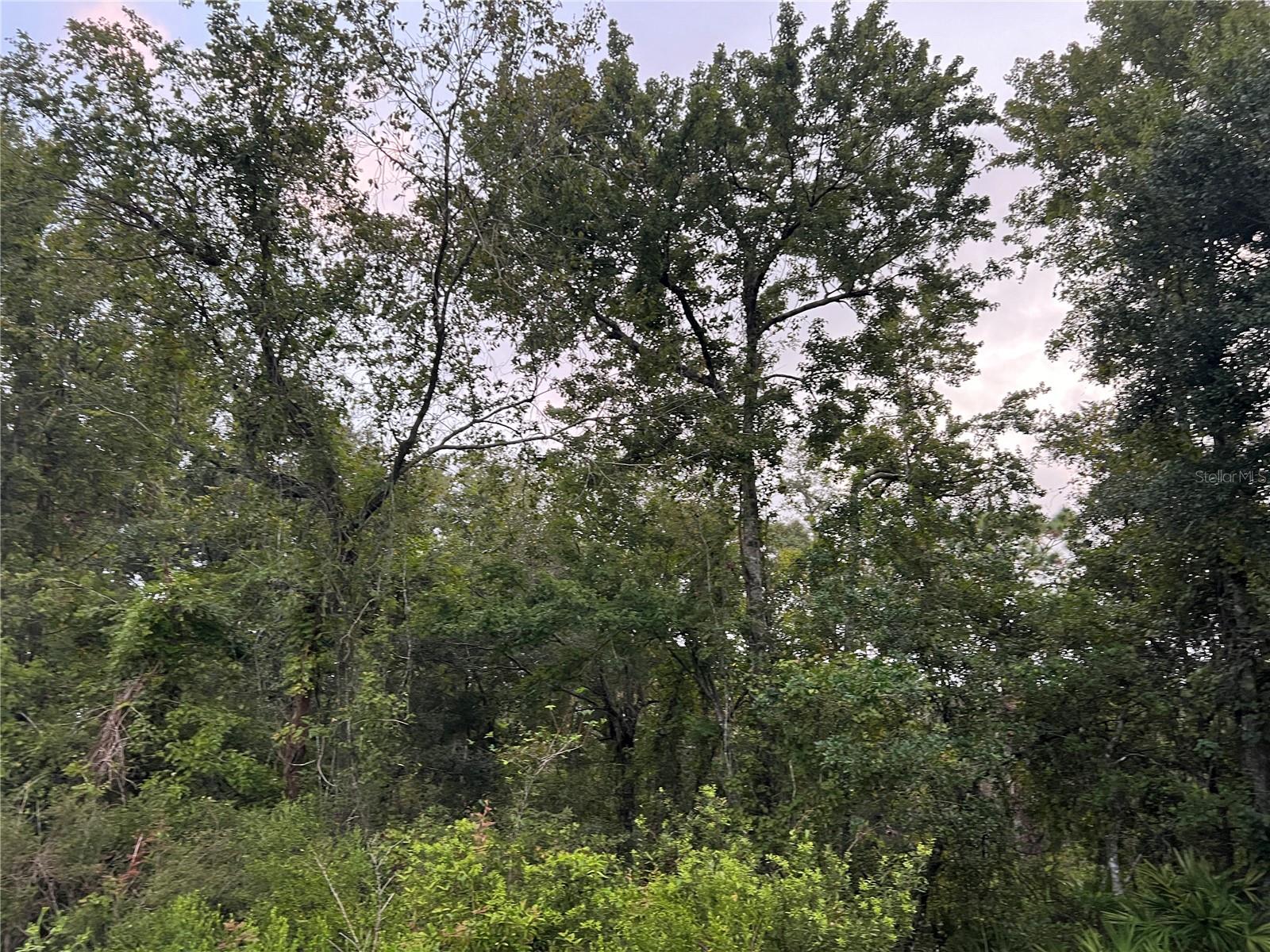 MOON LAKE ESTATES - Land