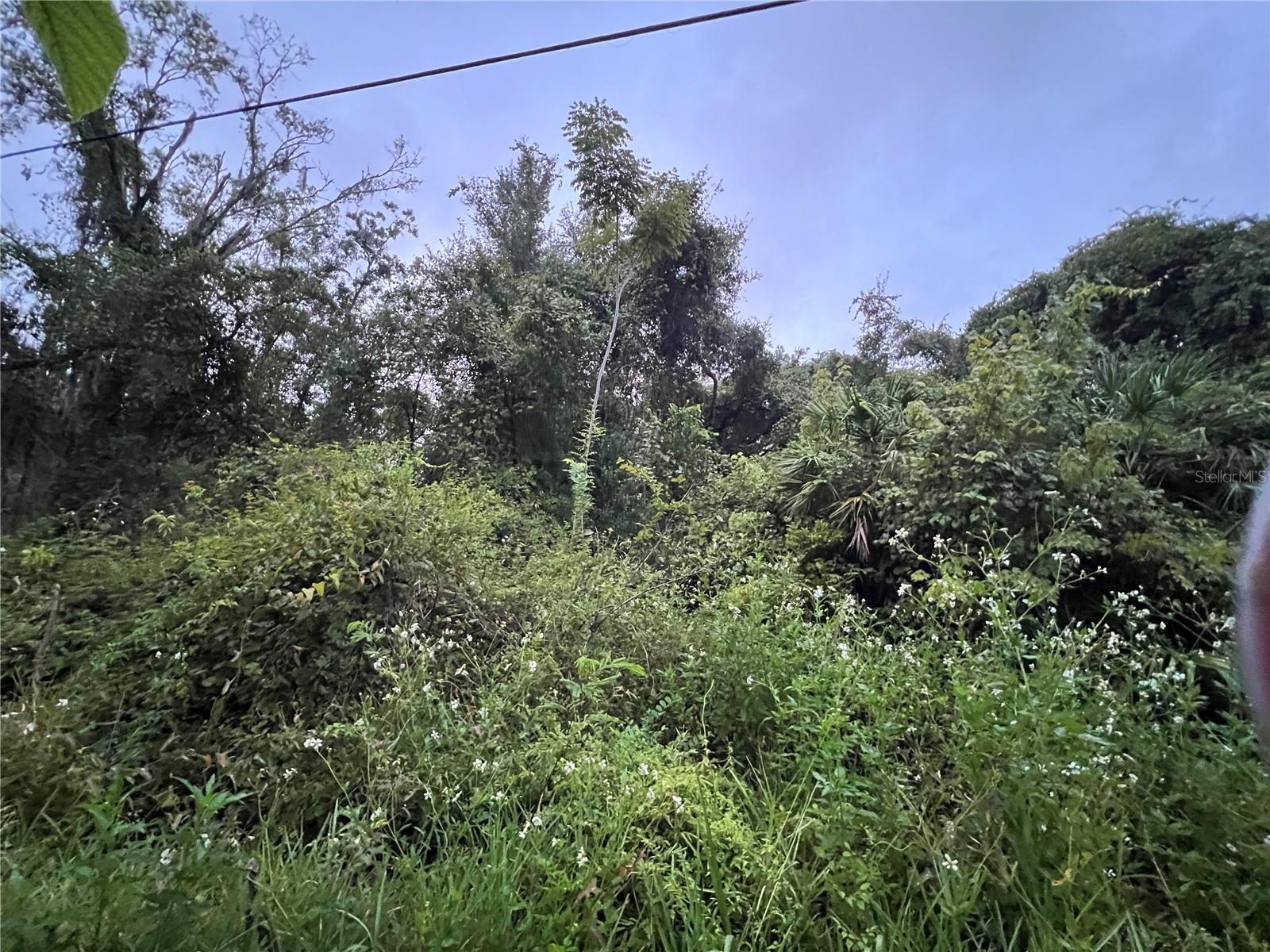 MOON LAKE ESTATES - Land