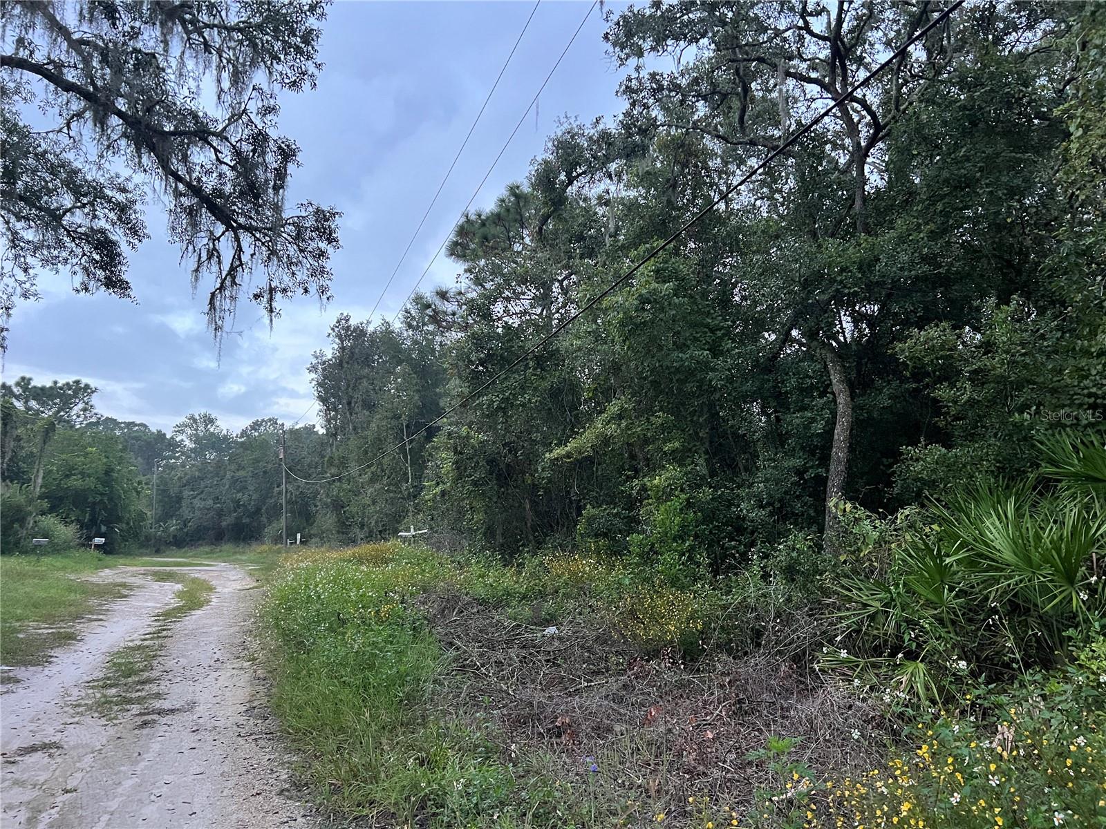 MOON LAKE ESTATES - Land