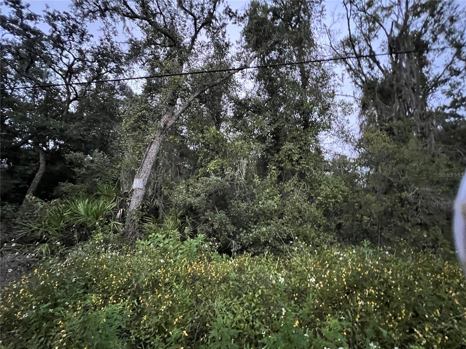 MOON LAKE ESTATES - Land