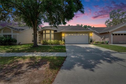 2527 WRENCREST CIRCLE VALRICO FL 33594