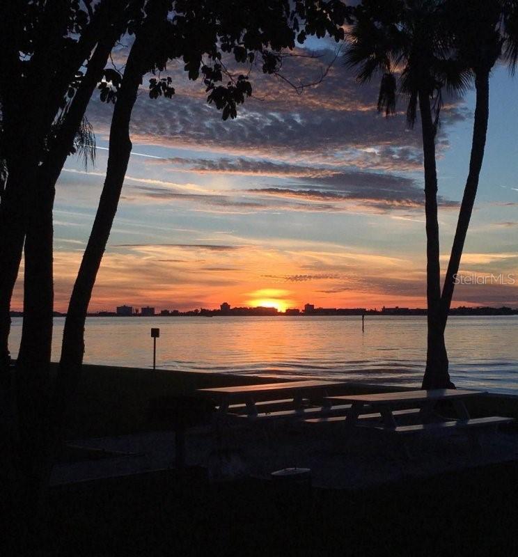 TOWN SHORES OF GULFPORT - Residential