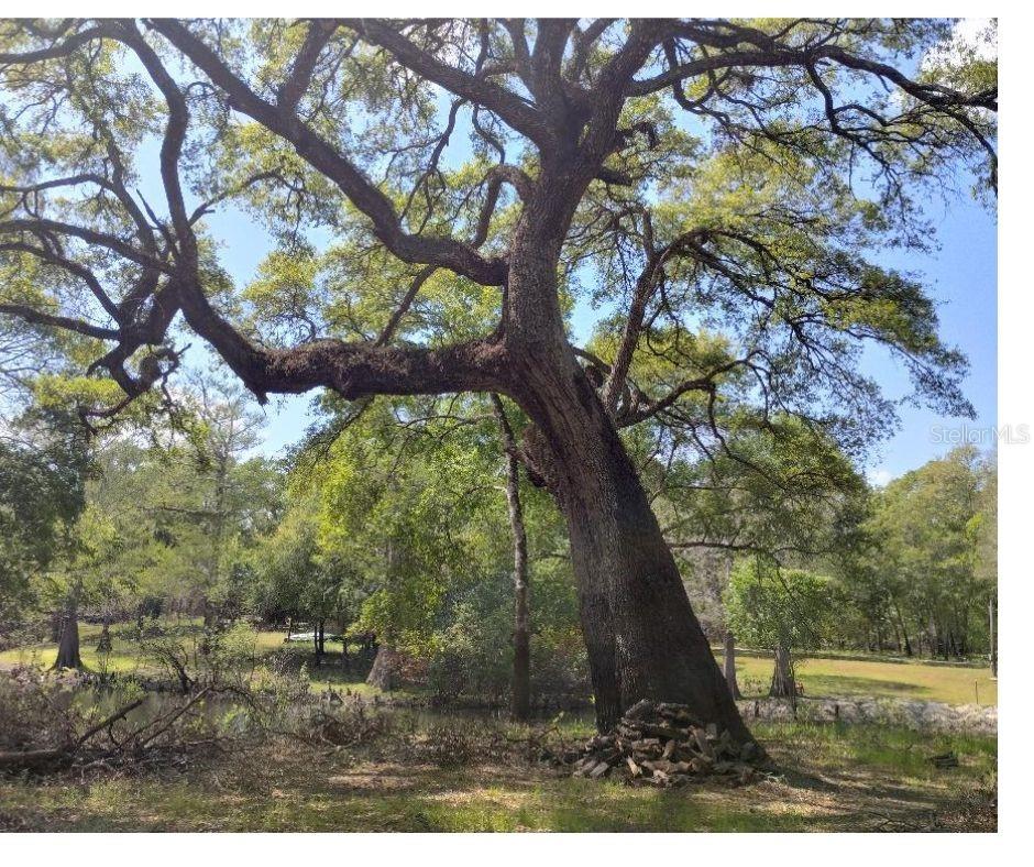 TALISMAN SUBDIVISION BLOCK H - Land