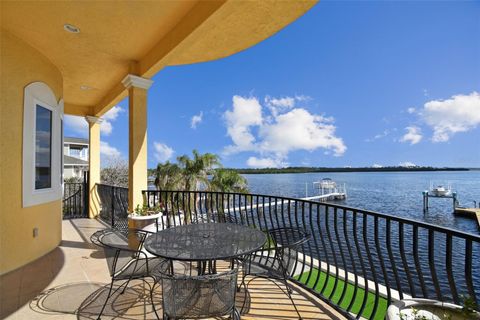 A home in TARPON SPRINGS