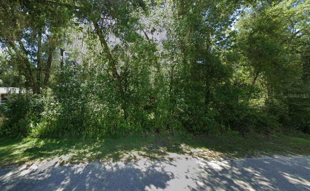 Photo of 5266 S Romans Avenue, Inverness, FL 34452 (MLS # A4685297)