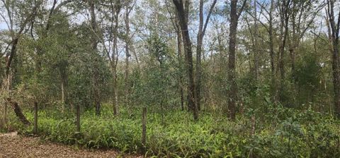 A home in DUNNELLON