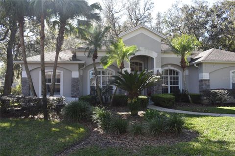 A home in APOPKA