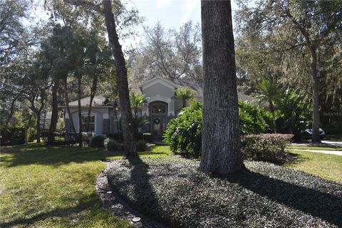 A home in APOPKA