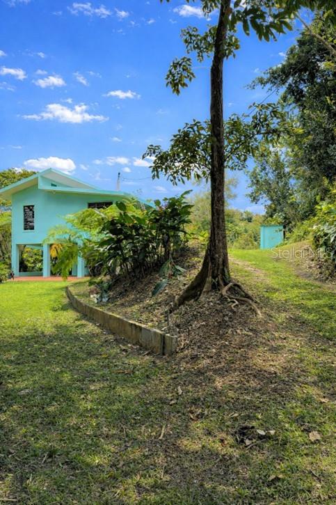 BARRIO BARRAZAS,CAROLINA, PR - Residential