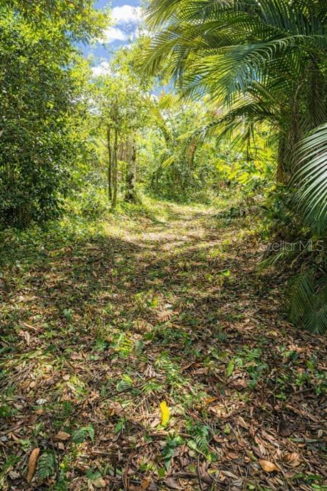 BARRIO BARRAZAS,CAROLINA, PR - Residential