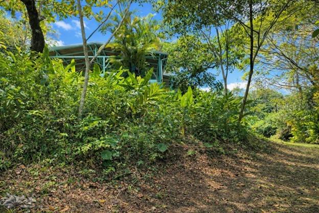 BARRIO BARRAZAS,CAROLINA, PR - Residential