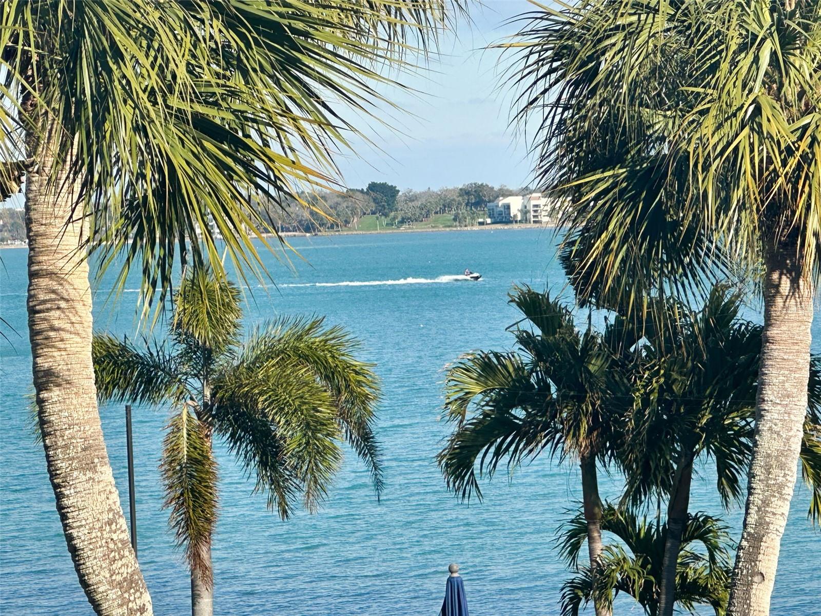 SAND KEY CONDO-BAYSIDE GARDENS III - Residential