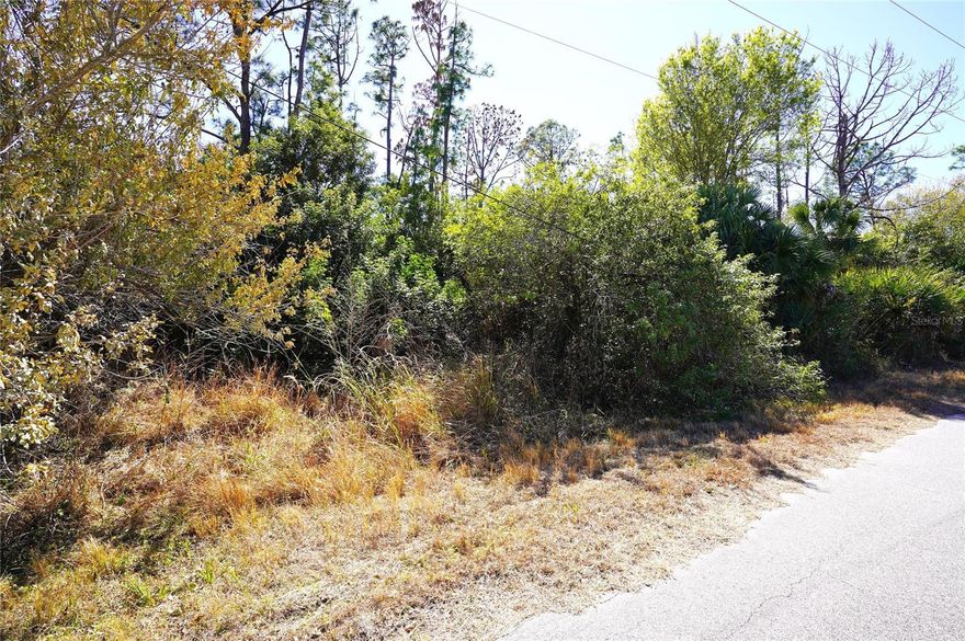 Buy and build or invest and wait. 
Over sized Lot.  Lot size: 0.258 of acre = 11,238 sq ft. 78x125x102x125. 
Great location to invest or build your new home. Pick your own builder or ask for help. Conveniently located close to I-75 and local amenities, beaches, and Tiki Bars and Live entertainment daily. The best Tarpon and red game fishing in the world with off speed boat racing to spring training baseball teams as The Atlanta Braves and Tampa Rays baseball teams. Just want to go to the local beaches (Port Charlotte, Boca Grande, Englewood and Sarasota beaches) or fishing for the day. Great to do it all with whatever you can dream or do as a hobby. Local International Airports: Fort Myers, Sarasota and local Punta Gorda with Allegiant airlines direct. Many outdoor concert venues weekly. Many local Tiki Clubs watch live entertainment to have a Sunset view. Local parks, state parks, tennis or pickleball, to amazing golf courses. You deserve to view this property and make it your home or investment.