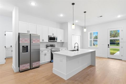 Tiny photo for 559 W Heronsbill Lane, Dunnellon, FL 34434 (MLS # O6395051)