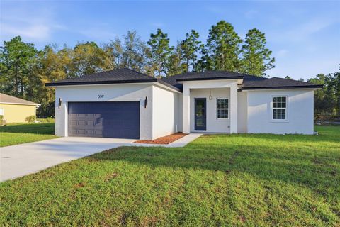 Tiny photo for 559 W Heronsbill Lane, Dunnellon, FL 34434 (MLS # O6395051)