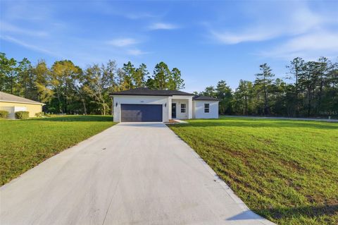 Tiny photo for 559 W Heronsbill Lane, Dunnellon, FL 34434 (MLS # O6395051)