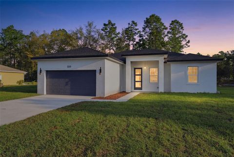 Photo of 559 W Heronsbill Lane, Dunnellon, FL 34434 (MLS # O6395051)