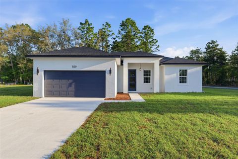 Tiny photo for 559 W Heronsbill Lane, Dunnellon, FL 34434 (MLS # O6395051)