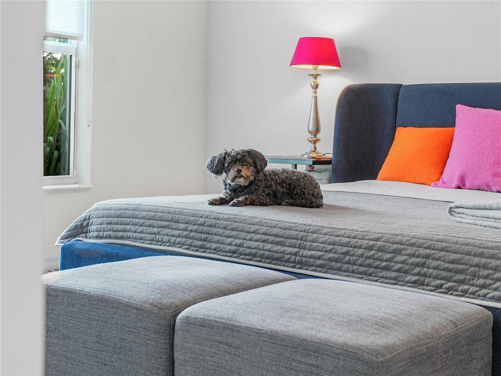 LAKE ASHTON GOLF CLUB PH 06 - Residential