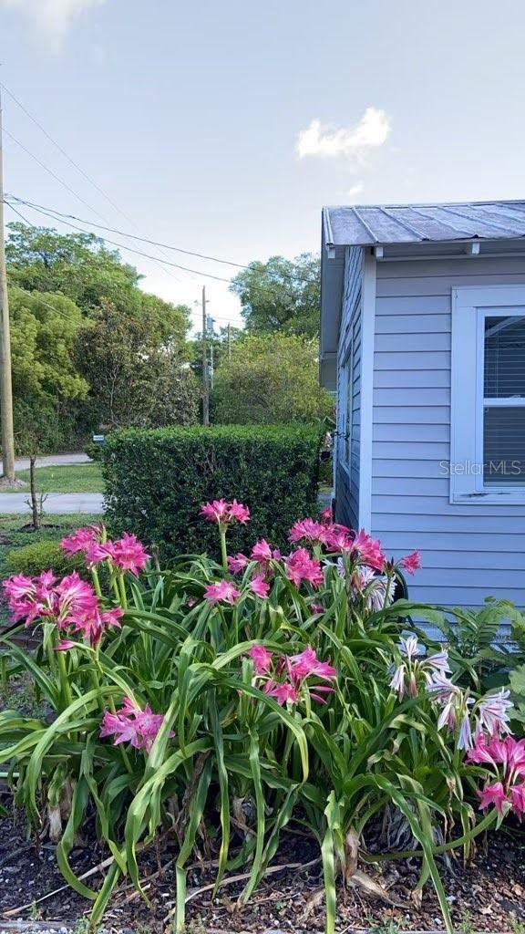 PINEWOOD - Residential