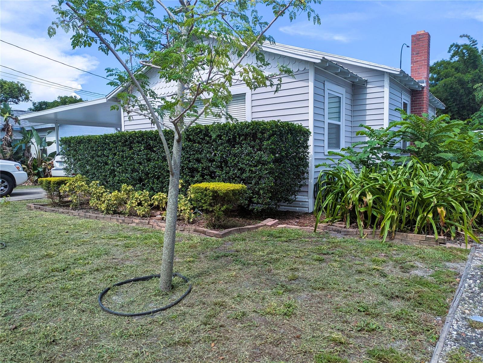 PINEWOOD - Residential