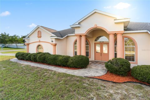 A home in SPRING HILL