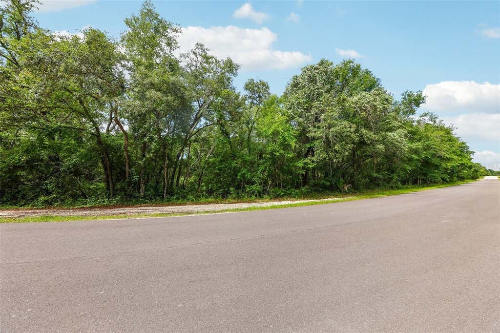 Photo of 33340 Tombstone St, Webster, FL 33597 (MLS # TB8517224)