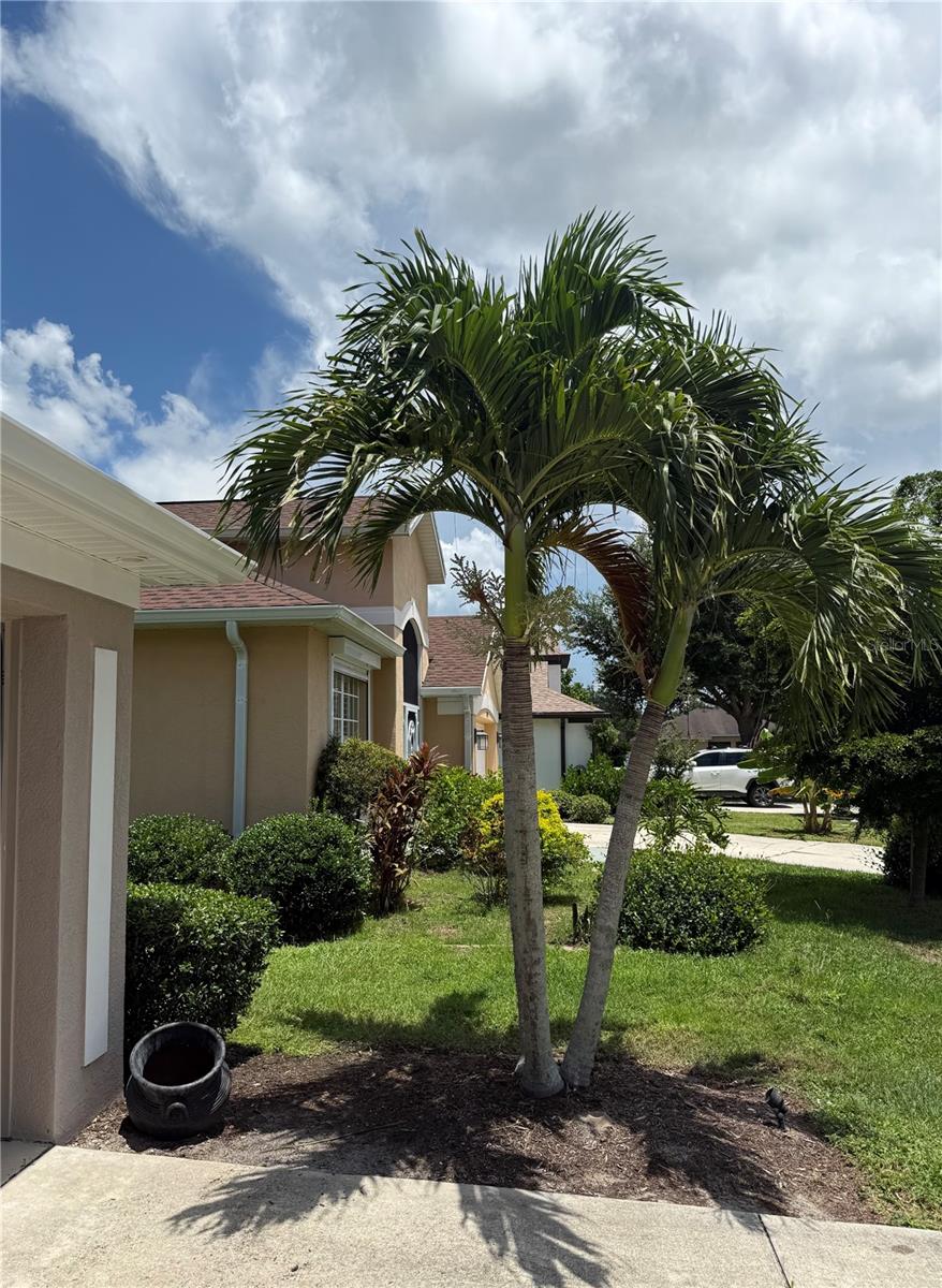 NORTH PH 1 SUMMERWOOD 2 - Residential