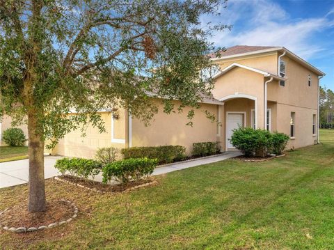 A home in WESLEY CHAPEL