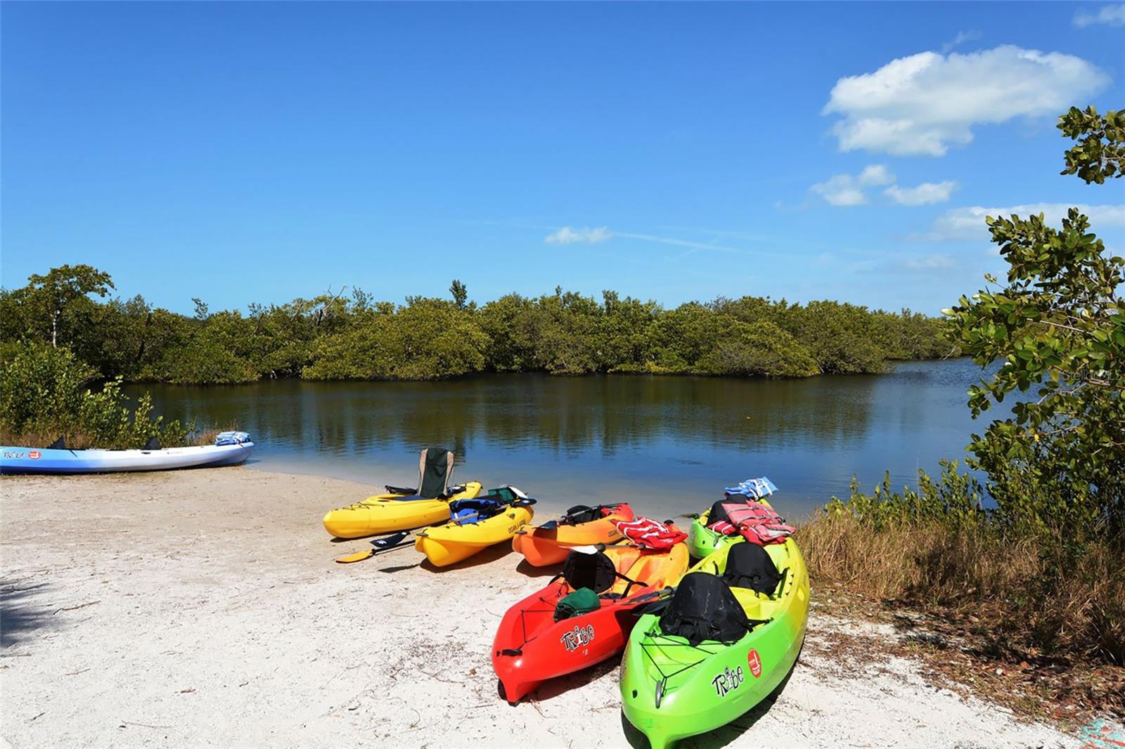 ELYSIAN HEIGHTS - Residential
