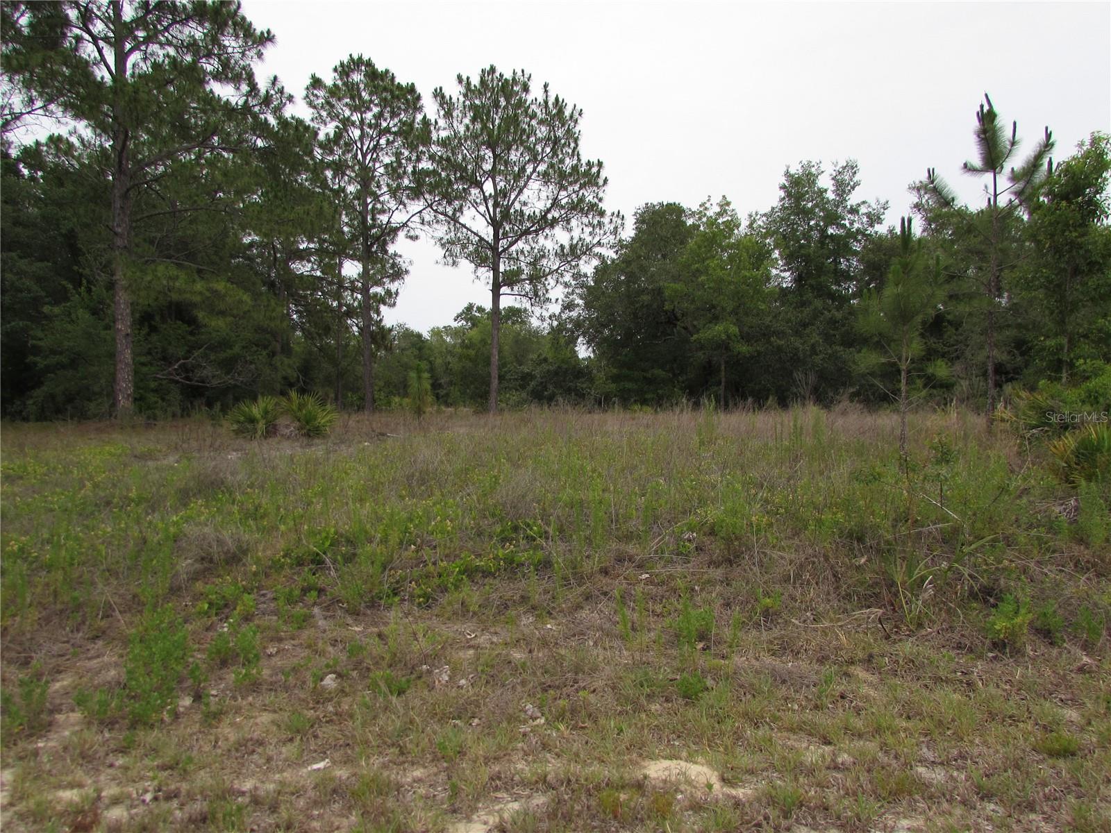 RAINBOW LAKES ESTATES 1/4 ACRE BUILDING LOT CLEARED AND READY TO BUILD. 70X150 CLOSE TO TIGER LAKE BOAT RAMP AND LAKE ACCESS. RAINBOW LAKES ESTATES HAS 3 LAKES 2 PARKS COMMUNITY CENTER AND NO HOA. SHORT DRIVE TO ALL THE AMENITIES IN DUNNELLON. BUILD NOW OR INVEST FOR THE FUTURE.