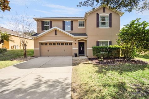 20811 SULLIVAN RANCH BOULEVARD MOUNT DORA FL 32757