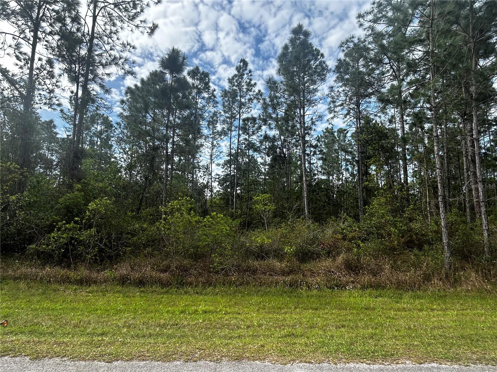 INDIAN LAKE ESTATES - Land