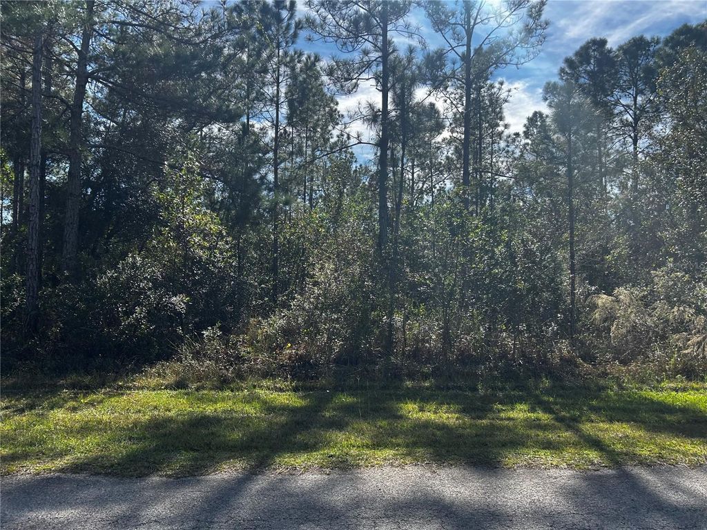 Photo of 207 Gardenia Drive, Lake Wales, FL 33855 (MLS # P4937261)