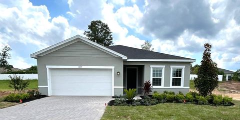 Photo of 10879 SW 72nd Circle, Ocala, FL 34476 (MLS # W7879872)