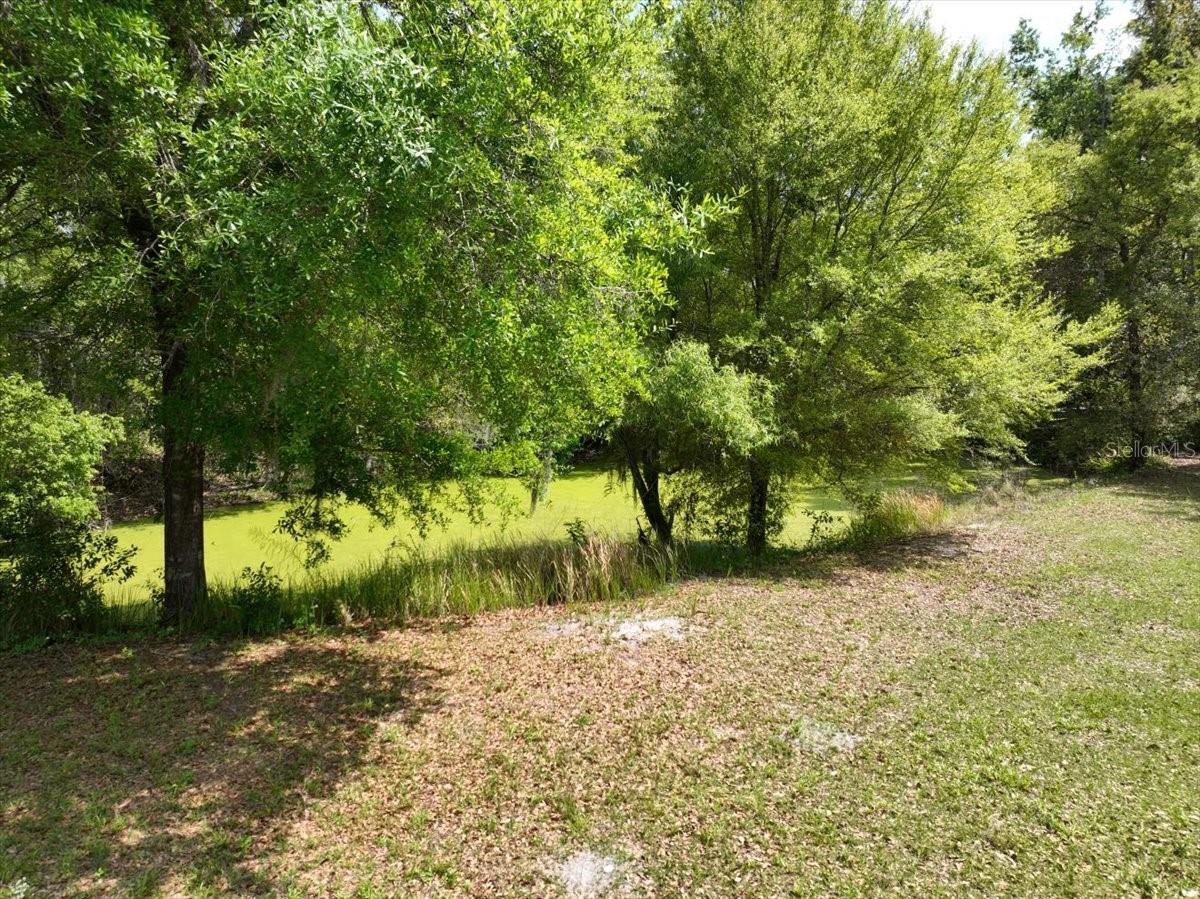 WEBSTER & OMOHUNDRO SUB - Residential