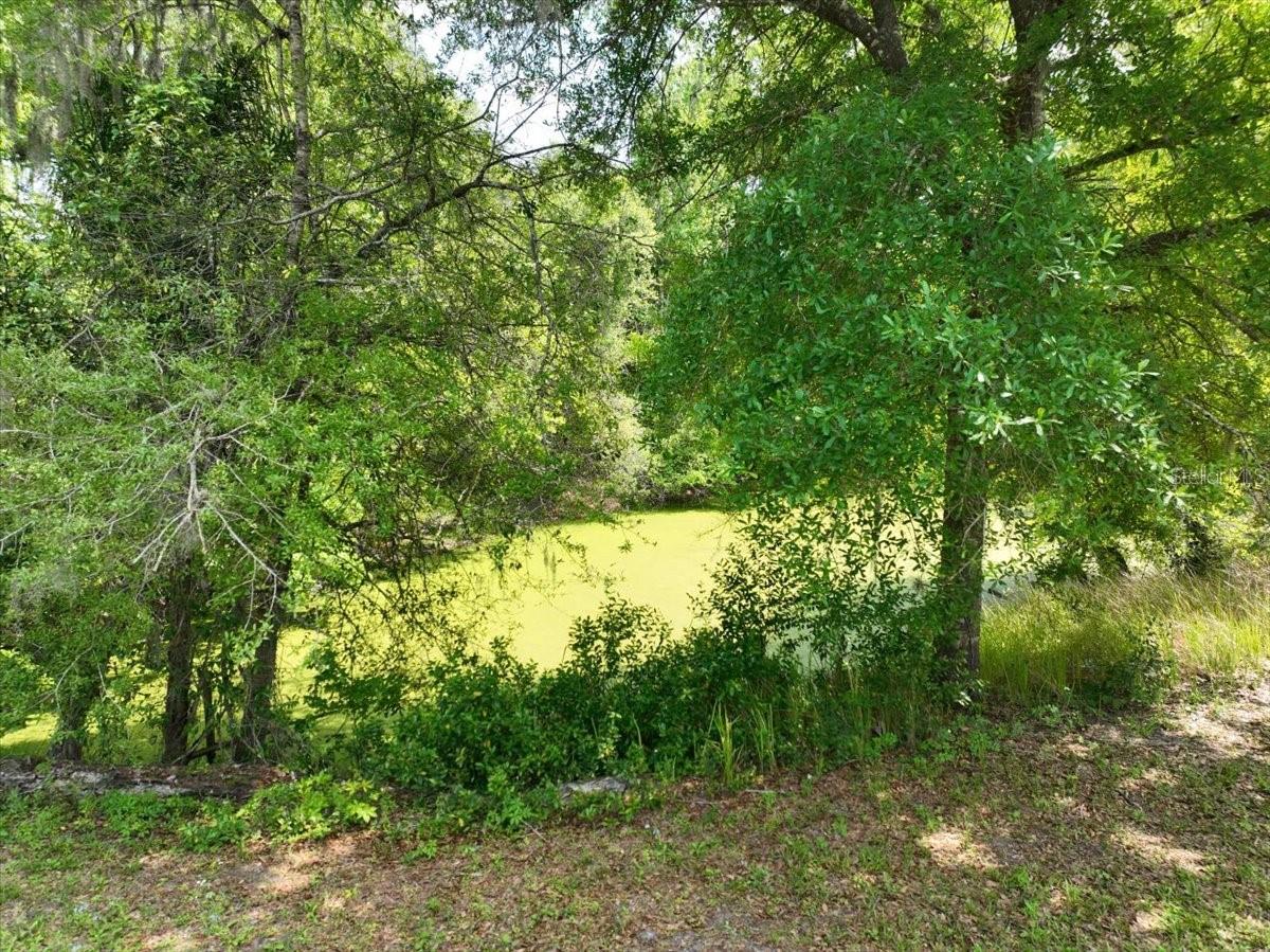 WEBSTER & OMOHUNDRO SUB - Residential