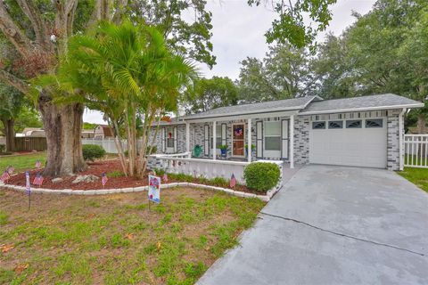 215 CLAIRE DRIVE SEFFNER FL 33584