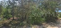 NE 67TH ST, BRONSON, FL 32621 - Image ab38355dfd1d935a7335ab782d1fafd3/2756740439
