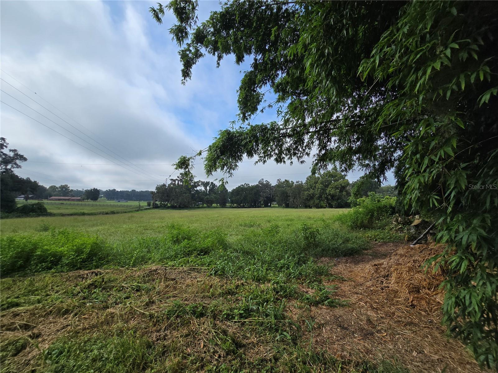 REDDICK - Residential