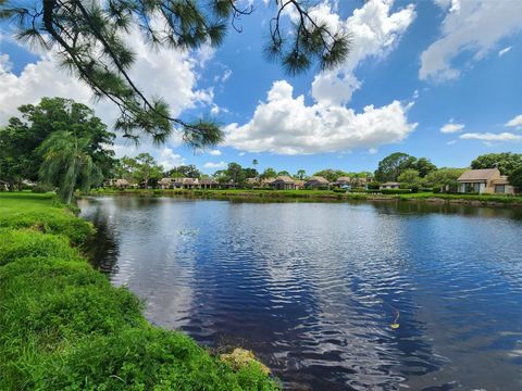 A home in SARASOTA