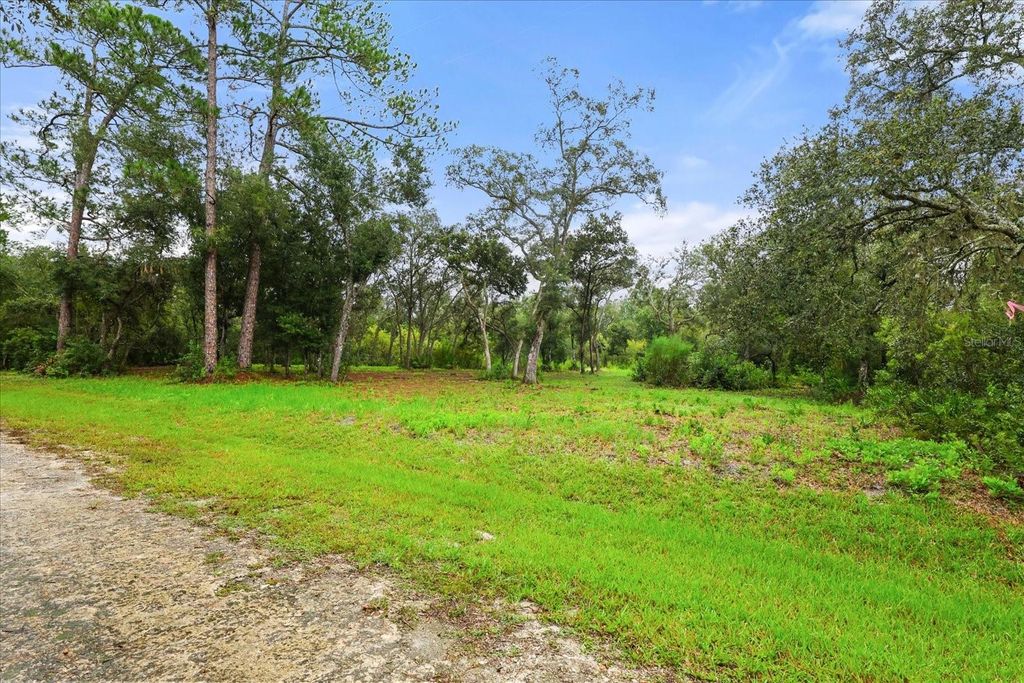 Photo of Creekstone Street, Webster, FL 33597 (MLS # O6344197)