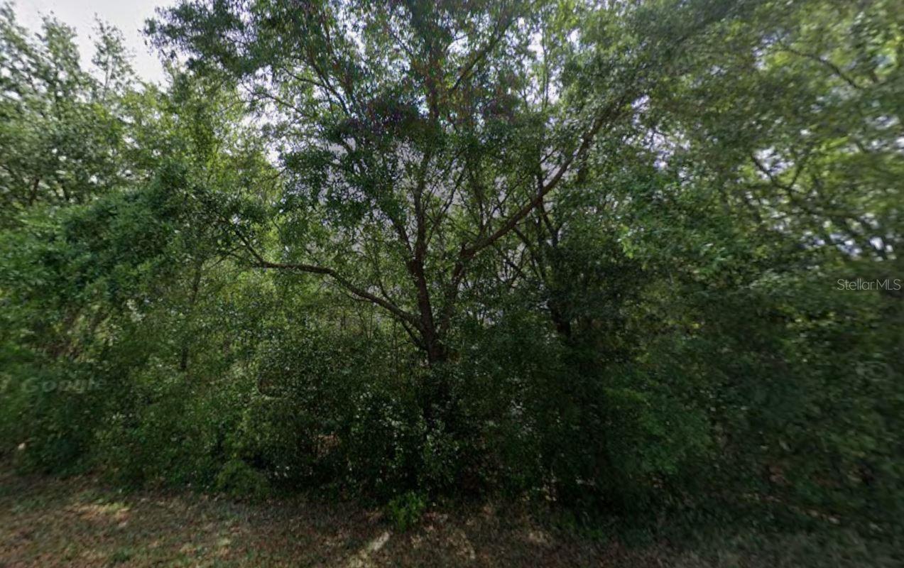 SUGARMILL WOODS CYPRESS VILLAGE REP BLK A ONLY - Land