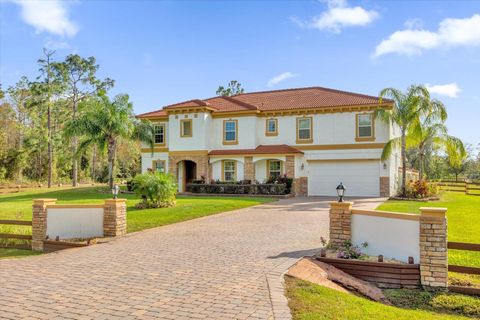 A home in ORLANDO