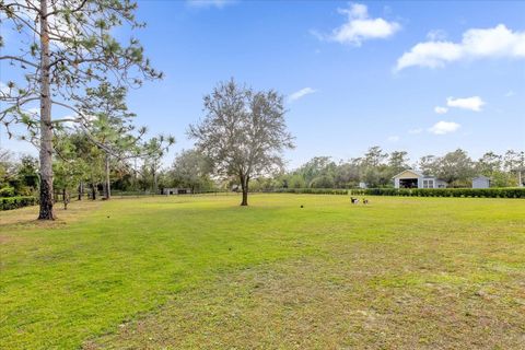 A home in ORLANDO