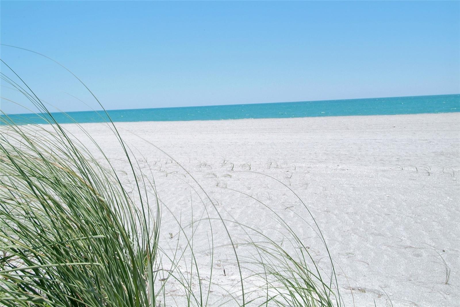 THE HAMPTONS - Residential