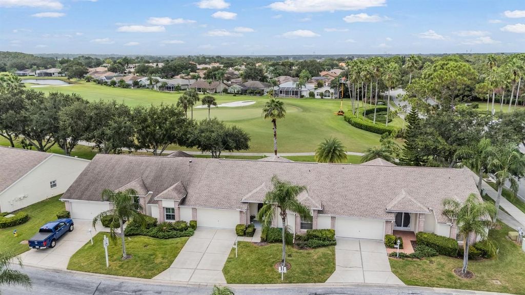 Photo of 1231 Flora Vista Street, Trinity, FL 34655 (MLS # W7879182)