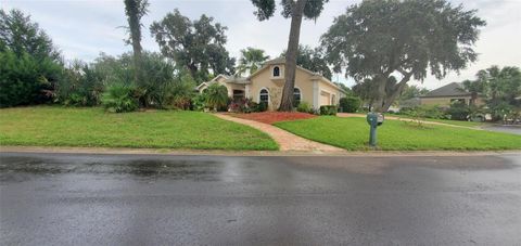 A home in NEW SMYRNA BEACH